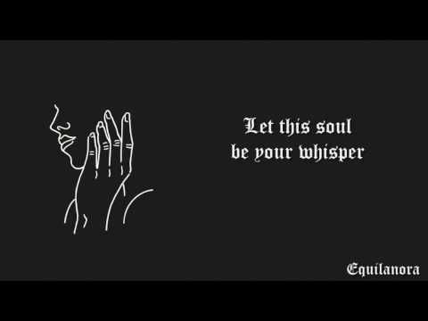 Shelter video