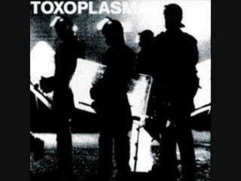 Toxoplasma - Ordinäre Liebe