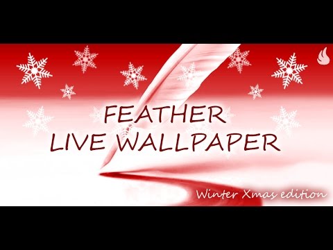 Feather Live Wallpaper Video