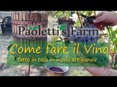 Come fare il Vino fatto in Casa in modo Artigianale
