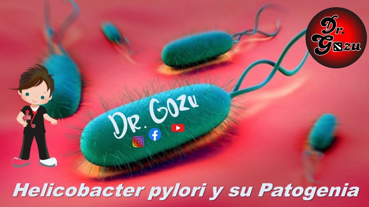 ¿ Que es el Helicobacter Pylori?