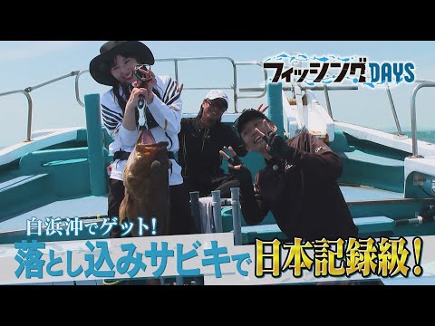 【フィッシングDAYS】#110　白浜沖でゲット！落とし込みサビキで日本記録級！
