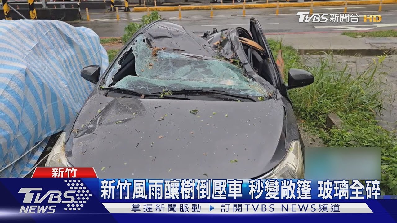 新竹15小時路樹倒5次!轎車被壓成敞篷 後擋風玻璃全碎