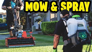 MOW low and SPRAY THIUCK!