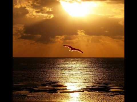 Summer eletro hits 6 Down down down.wmv