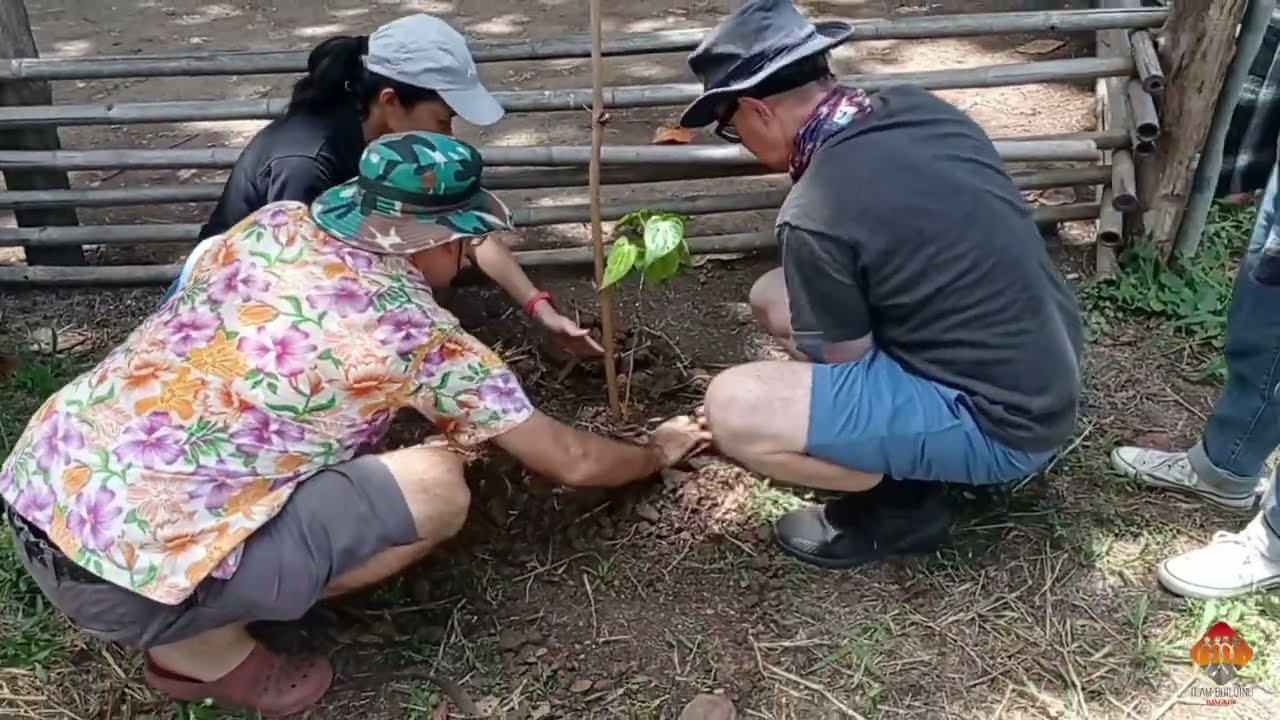 Tree Planting | Team Building Through Green Initiatives in Thailand