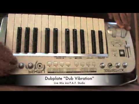 PhOniAndFlOrE - Dub Vibration (Live Mix)