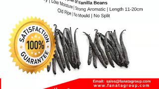 Download lagu Vanilla bean suppliers Indonesia, Tahitian vanilla beans, Planifolia vanilla beans mp3 Download lagu Vanilla bean suppliers Indonesia, Tahitian vanilla beans, Planifolia vanilla beans mp3