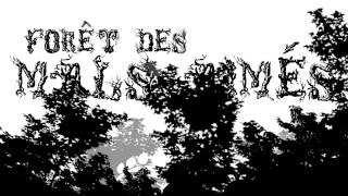 Au pays des fleurs de la transe - Pierre Lapointe - Mise en scène typographique