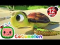Sea Animal Song CoComelon Kids Cartoons Classic Nursery Rhymes Moonbug Kids