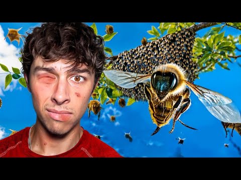 The Bees RUINED My Life.. (Storytime)