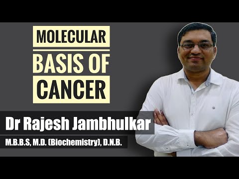 Carcinogenesis, Oncogenes, Tumor suppressor genes