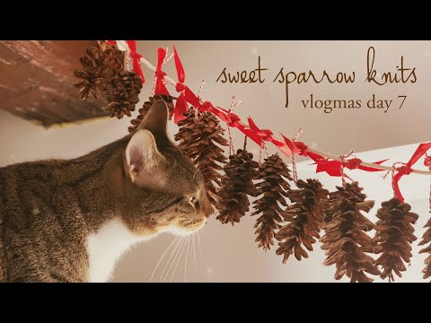 sweet sparrow knits - vlogmas day 7
