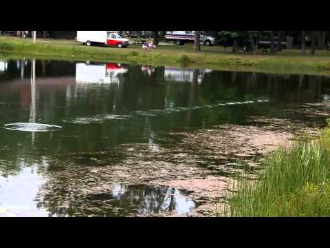 Kurt Steiner - Stone Skimming - Long Distance 345' - Cam-2