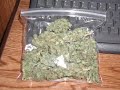 Coolio Im In Love With Mary Jane Half Baked