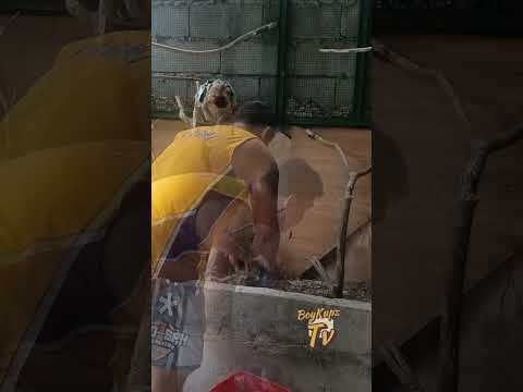 how to Marcot grapes #everyone #viral #marcotting #grape #gardening #stressfree #tips