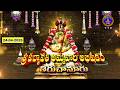 Sri Padmavathi Ammavari Abhishekam Tiruchanoor 24 04 2026 SVBC TTD