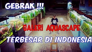 Grebek NICKZ AQUASCAPE - Bebas Memandang Aquascape dan Aquaterrarium