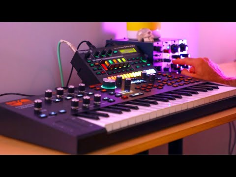 Hydrasynth Explorer + TR-6S  + 500 Series FX // Next LVL idea generator