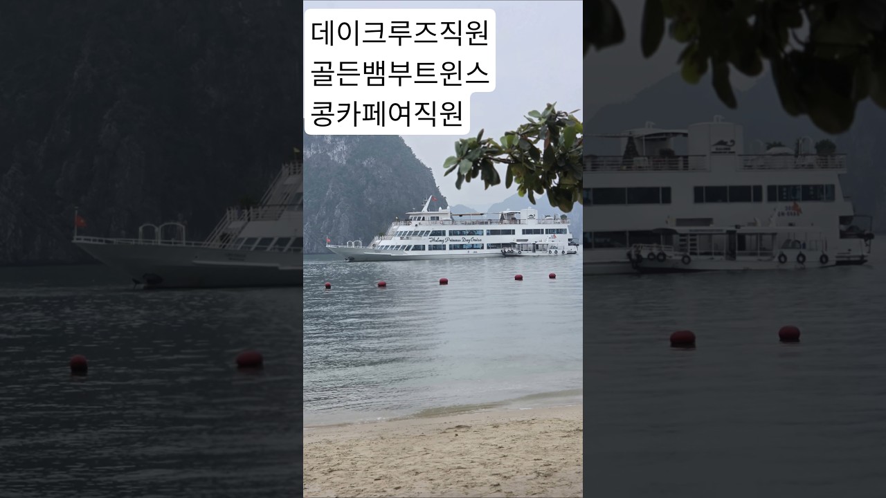 3번의 베트남 하노이ㆍ하롱베이여행  인연들 (25.12.11 )