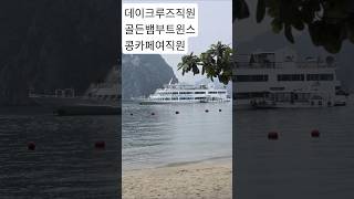 3번의 베트남 하노이ㆍ하롱베이여행  인연들 (25.12.11 )