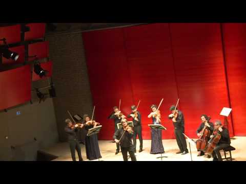 Liviu Prunaru plays Bazzini: Calabrese (arr. M. Waterman)