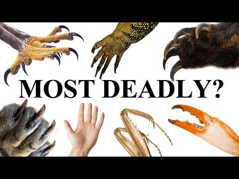 Every Natural Weapon Explained