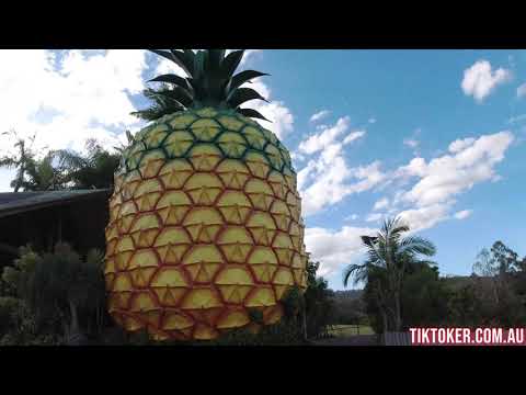 Big Pineapple - Queensland - Australia