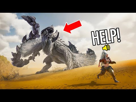 Monster Hunter Wilds WTF & Funny Moments! #1