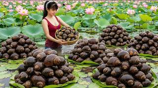 [TIMELAPSE] -- 288 Days Harvesting Many Stuffed Snails, Big Turtle, Frog - Sell Them At The Market