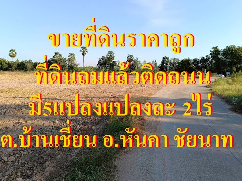 ขายที่ดิน 2ไร่ ห่างถนนหลวง3211 (4เลน) 20เมตร บ้านเชี่ยน หันคา ชัยนาท 300,000/ไร่ ถมแล้ว น้ำไม่ท่วม อยู่ในชุมชน – รูปที่ 2