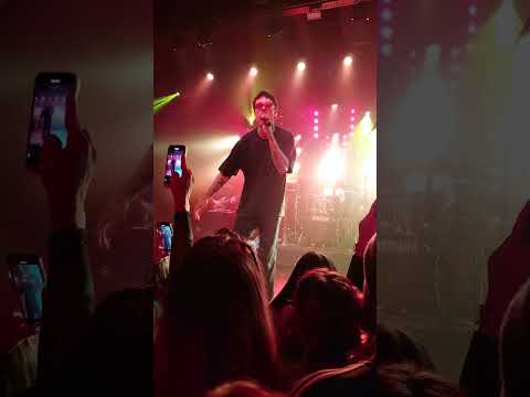 Xavibo, Cardellino - Bambú en vivo