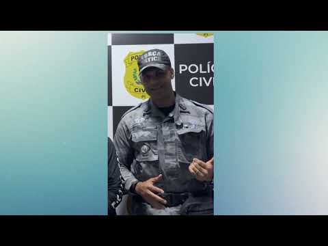 Plantação de maconha é encontrada no inteiro do Piauí