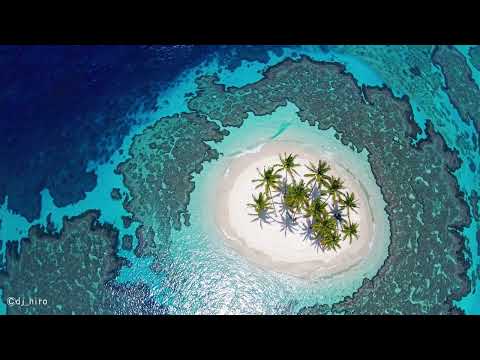 【Tropical Mix】Feel-Good House Pop 🌴 Relaxing & Cozy Background Music | Sun Beach Mix Vol.1