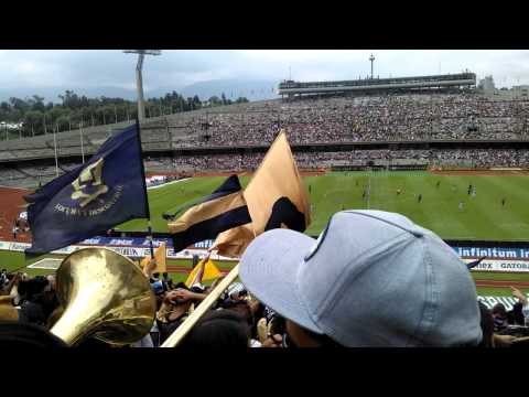 "la rebel pumas vs pachuca 2014" Barra: La Rebel &bull; Club: Pumas