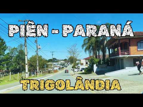Você não vai acreditar que TRIGOLÂNDIA existe em PIÊN  no PARANÁ  😱🌾