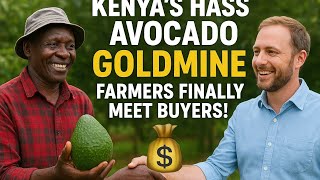 Download the video "Kenya’s Hass Avocado Goldmine 💰 | Farmer Meets Buyer!"