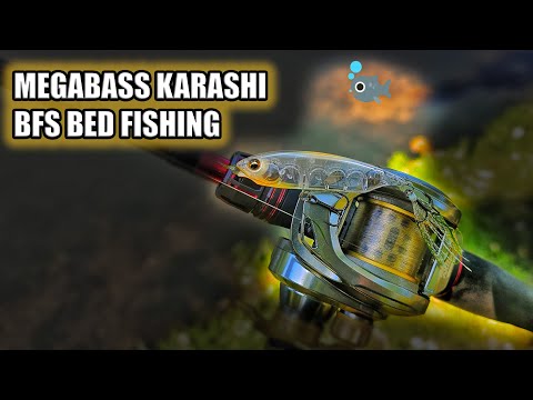 BFS Bed Fishing for Spawning Bass using Megabass Karashi