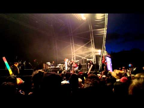 Raggamuffin 2014 - Damian Marleys Band