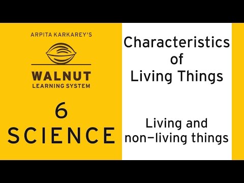 download lagu mp3 mp4 Walnut Characteristics, download lagu Walnut Characteristics gratis, unduh video klip Walnut Characteristics