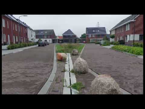 Bio Swales Kerkwijk Didam The Netherlands