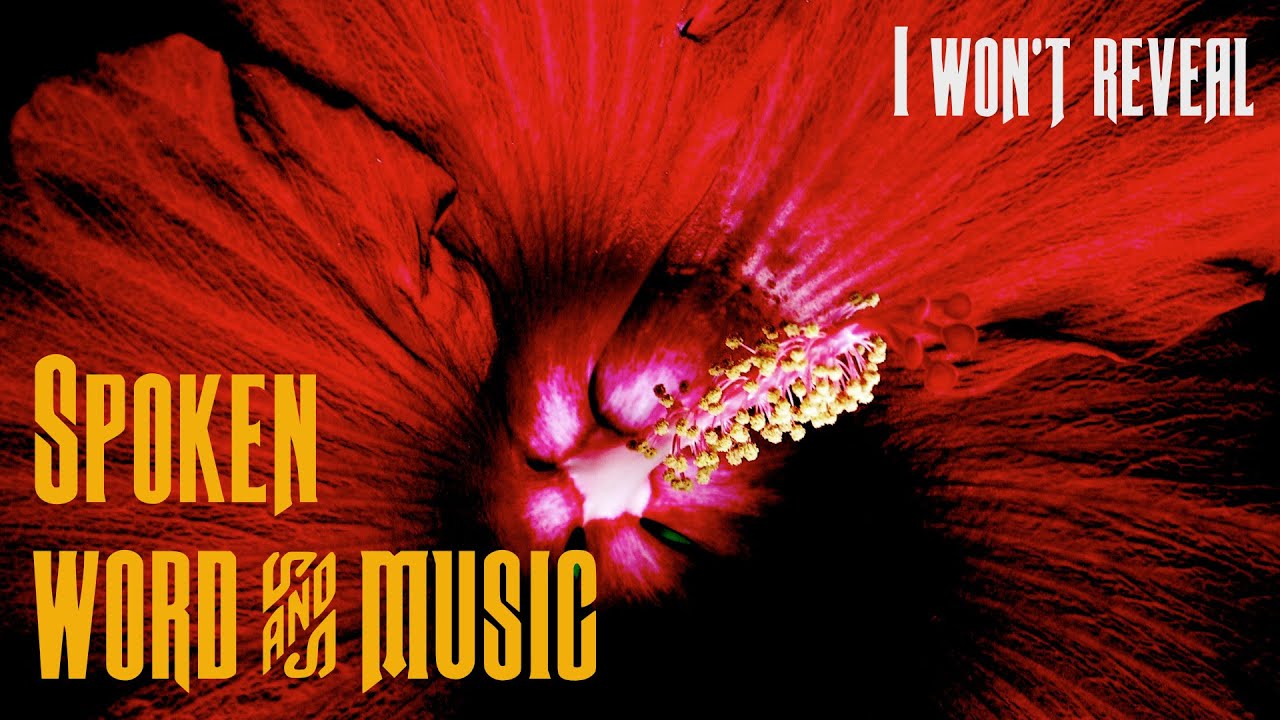 i won't reveal-spoken word and music. poetry xanga