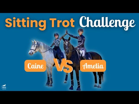 Sitting Trot Challenge - Who Wins?? You Decide!