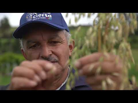 YACUANQUER NARIÑO ASOYAPAC