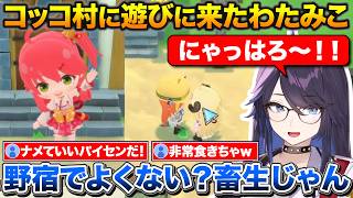 コッコ村に遊びに来たみこちを住民として迎え入れる+家がなくて野宿させられるわため【ホロライブ/kson/さくらみこ/角巻わため】