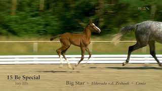 Video di Big Eldacenta PS