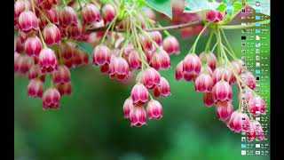 How to get #dark mode on your mac through terminal without installing &quot;mojave&quot; .