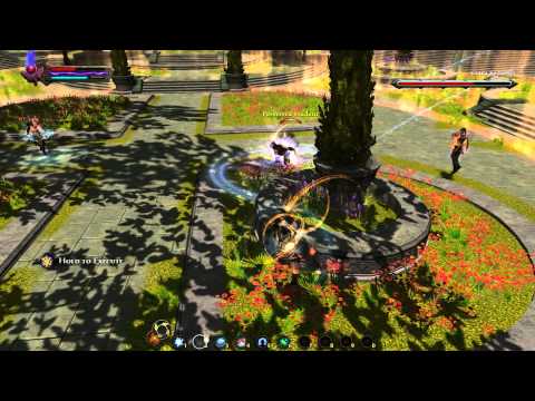 Kingdoms of Amalur: Reckoning Ciara Cydanus Boss Fight