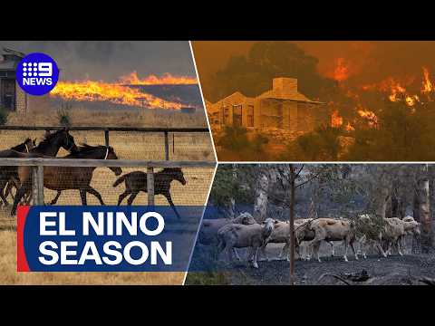 Australia on watch for El Ni&ntilde;o as ocean temperatures rise | 9 News Australia