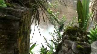 preview picture of video 'Punakaiki Blowholes and Pancake Rocks, New Zealand'